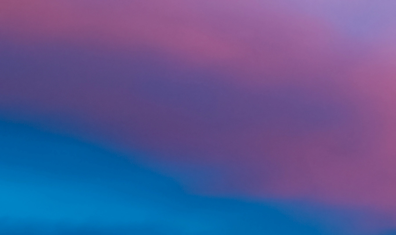 関連ウェブサイト・SNS